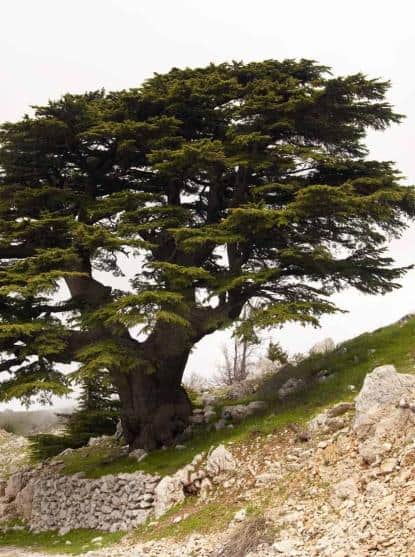 Photo: Fotolia