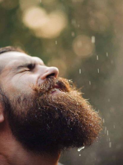 barbe