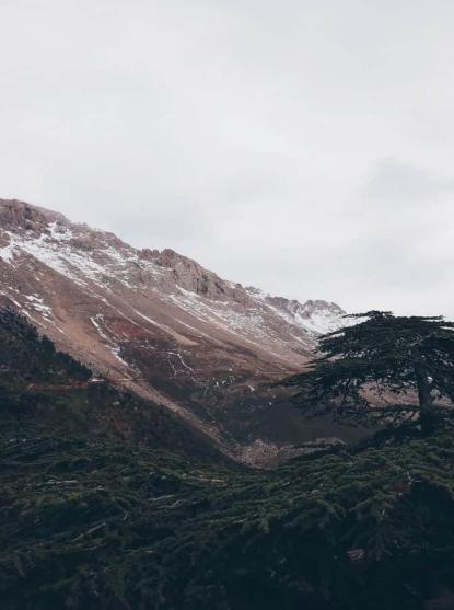 Parc national du Djurdjura, Algérie (photo: Sabrina Abadli / unsplash.com).