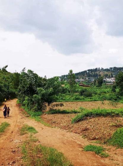 mzungu