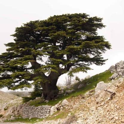 Photo: Fotolia