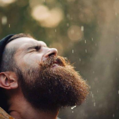 barbe