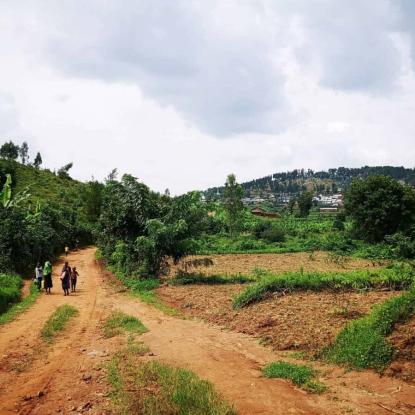 mzungu
