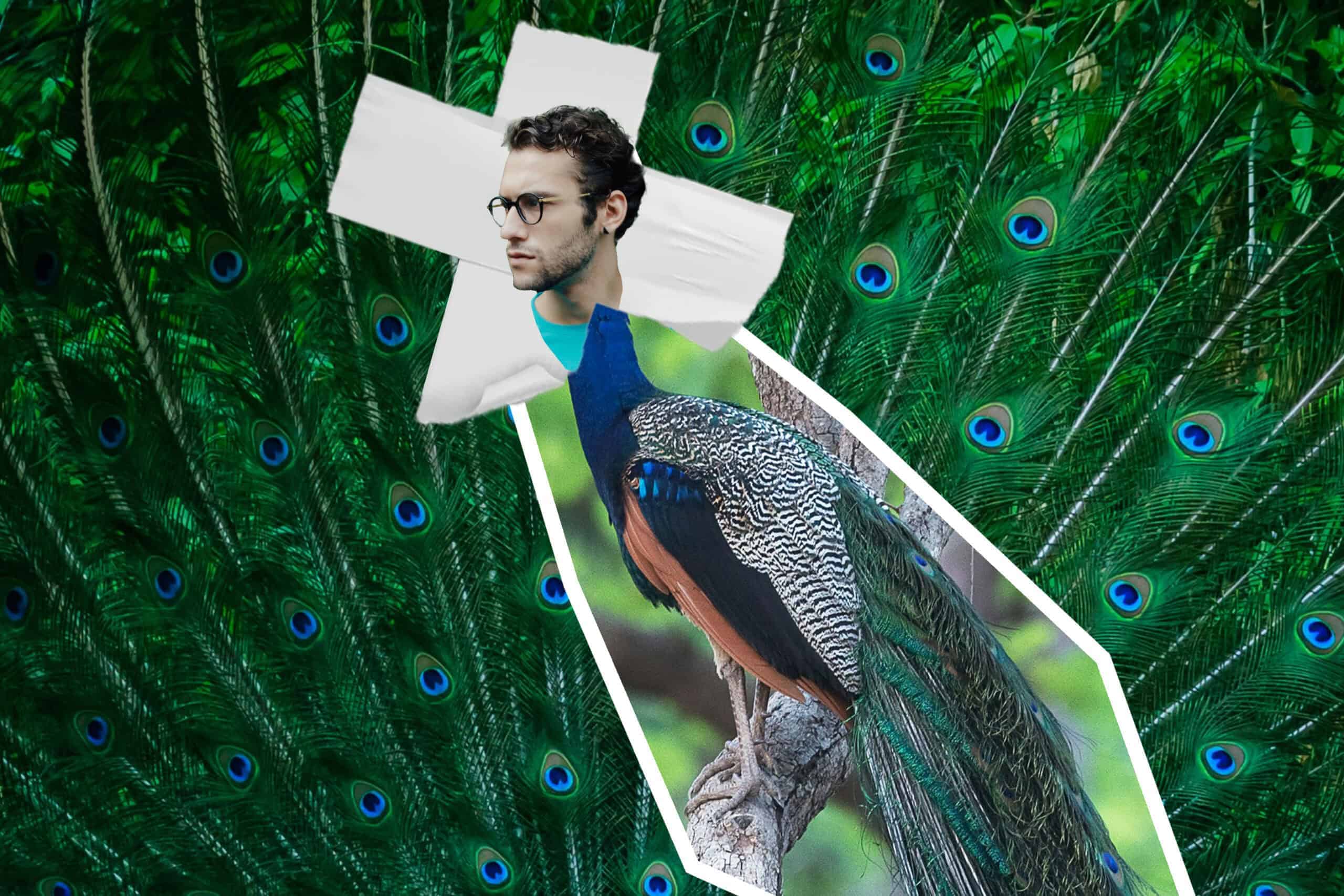 animal