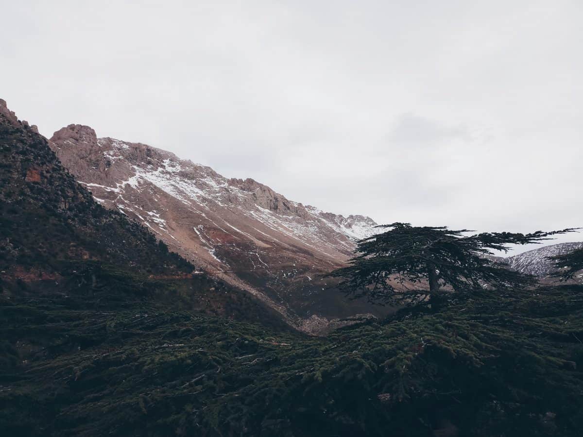 Parc national du Djurdjura, Algérie (photo: Sabrina Abadli / unsplash.com).